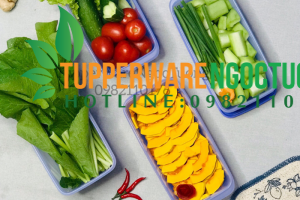 Hộp bảo quản thực phẩm Tupperware giữ thực phẩm lâu hơn