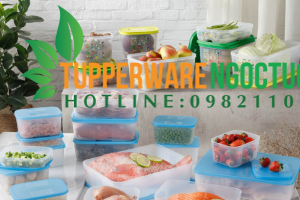 Giữ thực phẩm lâu hơn nhờ hộp bảo quản thực phẩm Tupperware