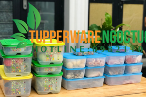 Ngọc Tường – Đại lý đồ gia dụng Tupperware chính hãng