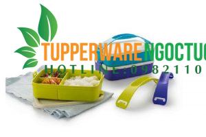 Khả năng bảo quản thực phẩm của hộp nhựa Tupperware có tốt không?
