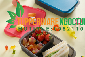 Hộp bảo quản thực phẩm Tupperware có những ưu nhược điểm gì?